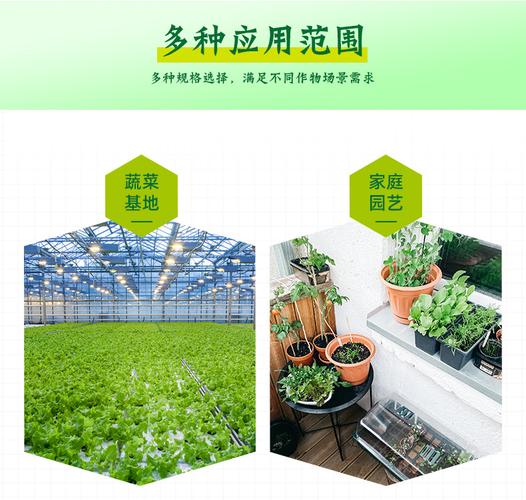 加厚优质pet塑料育苗穴盘花卉蔬菜林木加深穴盘营养钵72孔50托盘