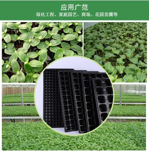 育苗盘加厚耐用多肉育苗穴盘芽苗菜平盘林木多规格尺寸种植盘育苗杯