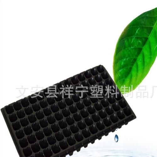 厂家批发销售扦插育苗盘加深林木穴盘质量好价格低欢迎订购