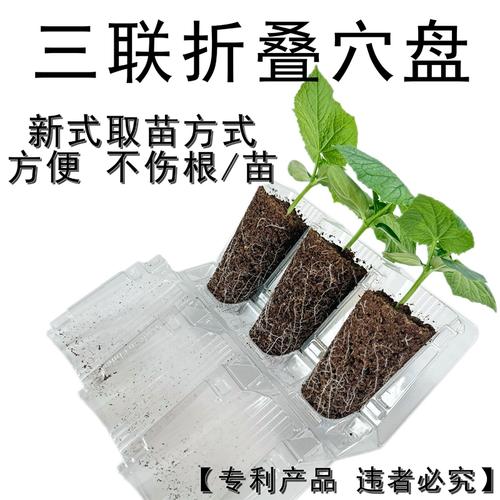 折叠穴盘新式侧开三联播种扦插育苗林木花卉叶插培育高深容器育种