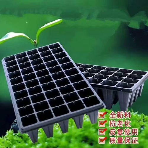 整箱促销 育苗盘 加厚穴盘 林木穴盘 多肉种植育苗盘 育苗托盘